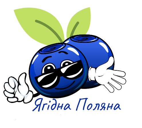 ягідна поляна