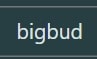 bigbud
