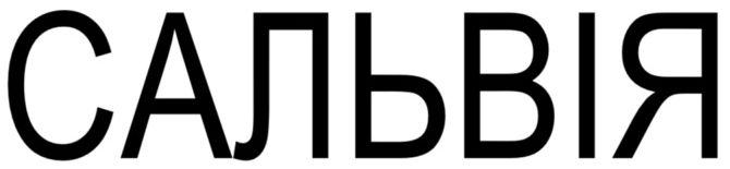 сальвія
