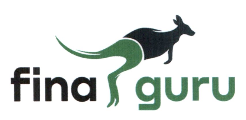 fina guru