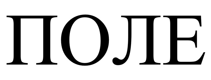 поле