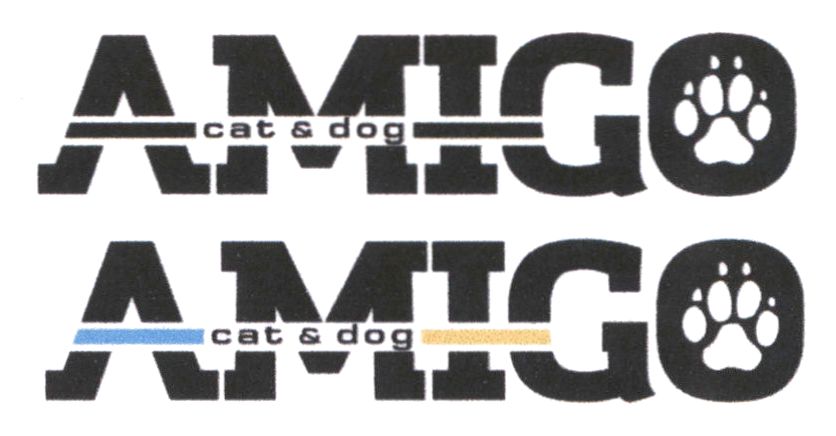 cat & dog