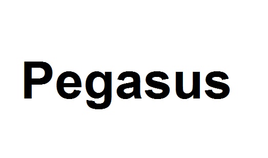 pegasus