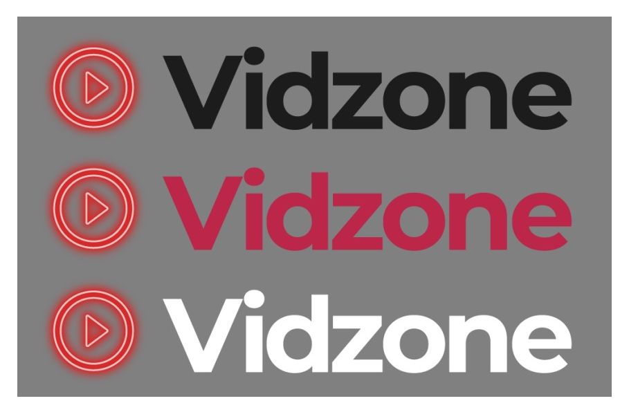 vidzone