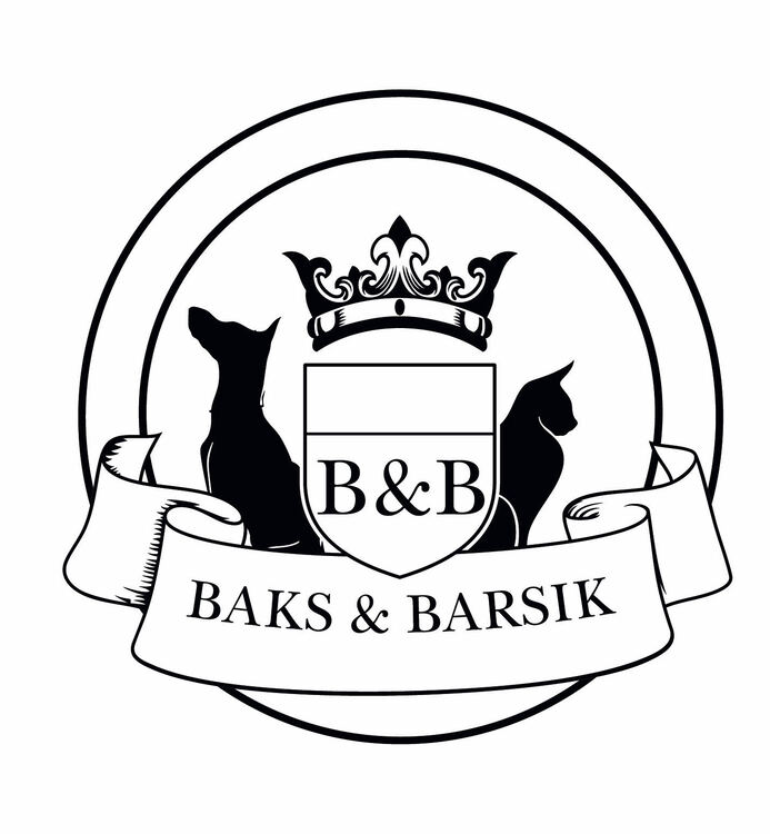 baks&barsik