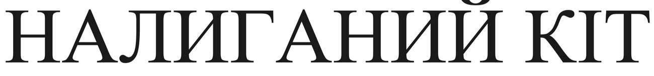 налиганий кіт