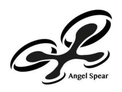 angel spear