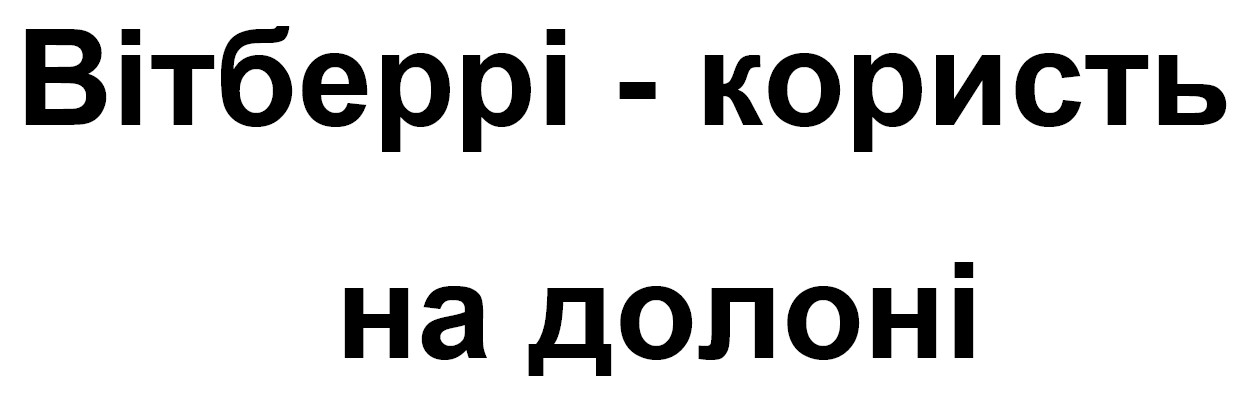 вітберрі - користь на долоні