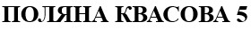 поляна квасова 5
