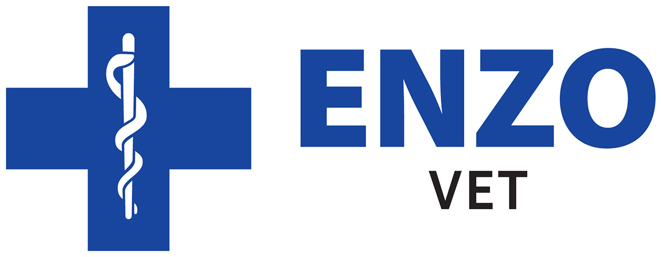 enzo vet