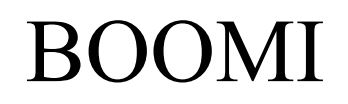 boomi