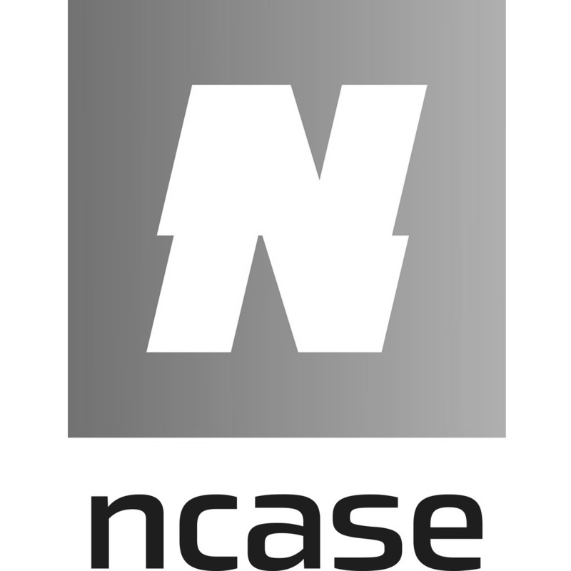 ncase