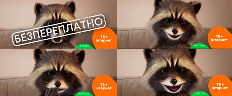 тб + інтернет