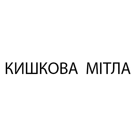 кишкова мітла
