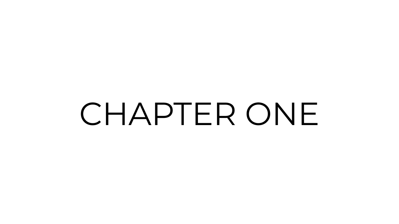 chapter one