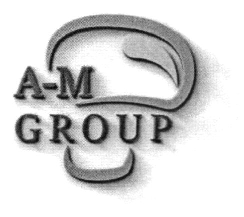 a-m gtoup
