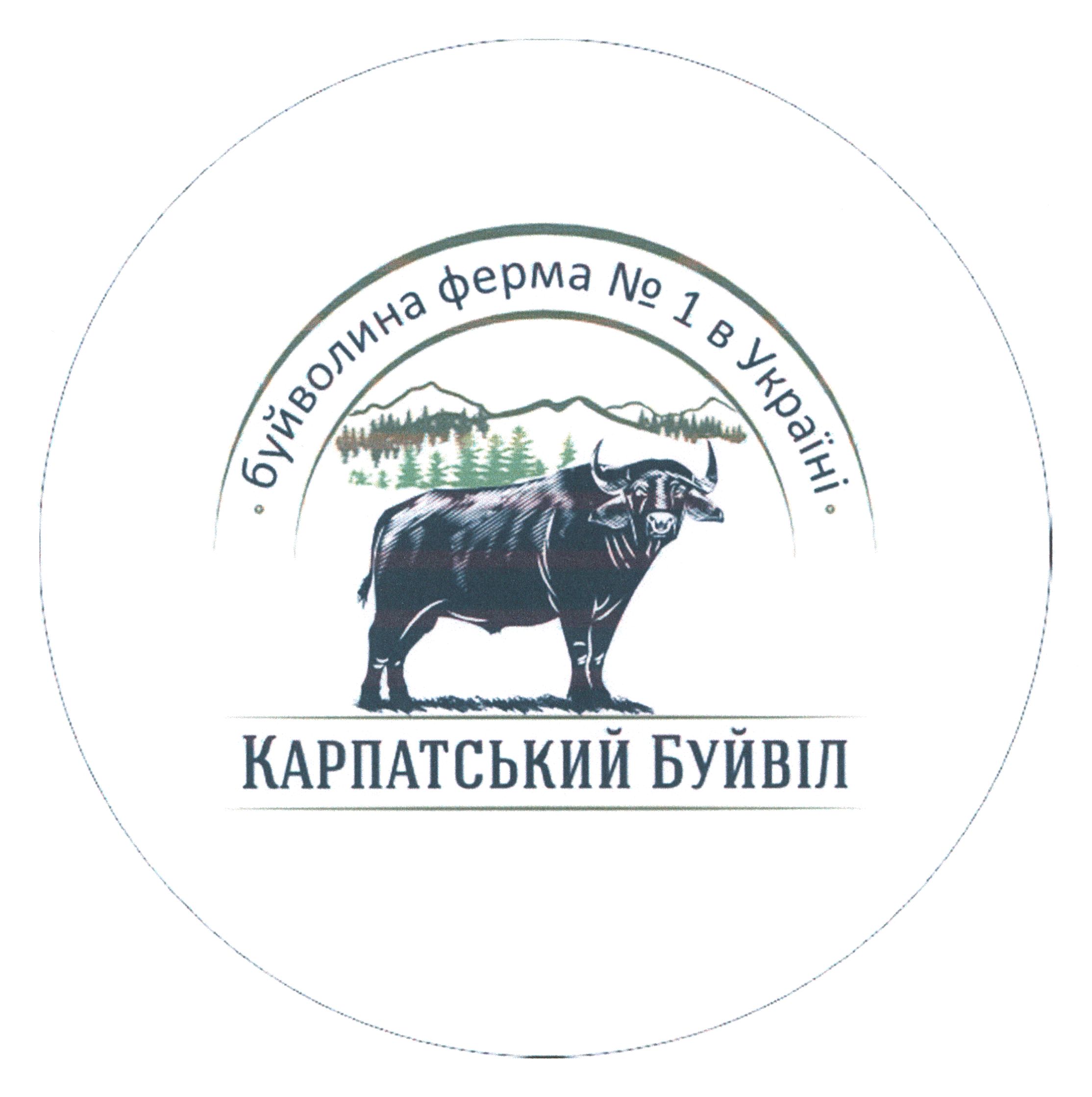 буйволина ферма № 1 в україні