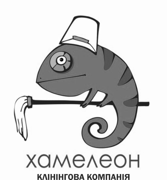 хамелеон клінінгова компанія