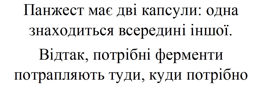 відтак, потрібні ферменти потрапляють туди, куди потрібно