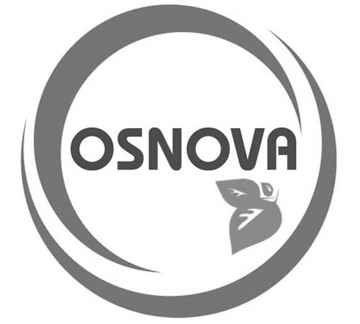 Лого ТМ osnova