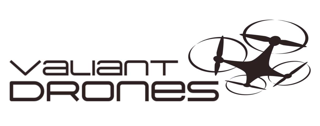valiant drones