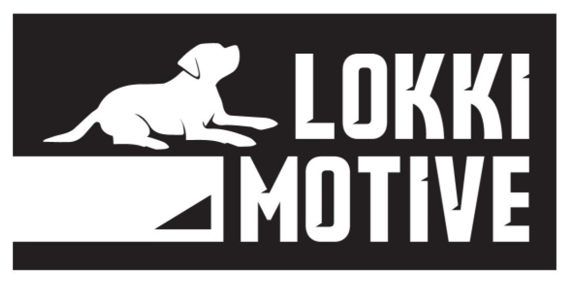 lokki motive