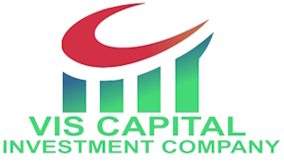 vis capital investment company