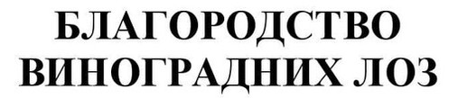 благородство виноградних лоз