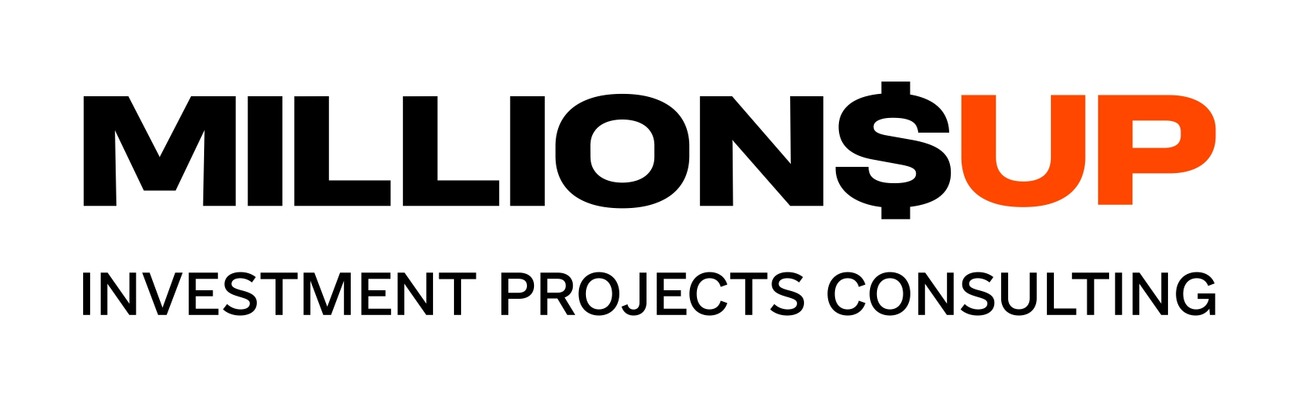 investment projects consulting