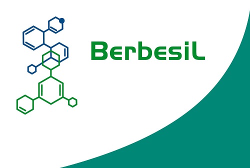 berbesil