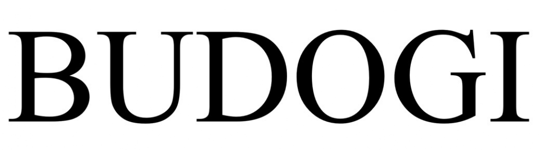 budogi
