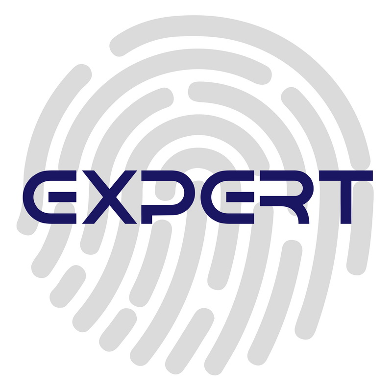 expert