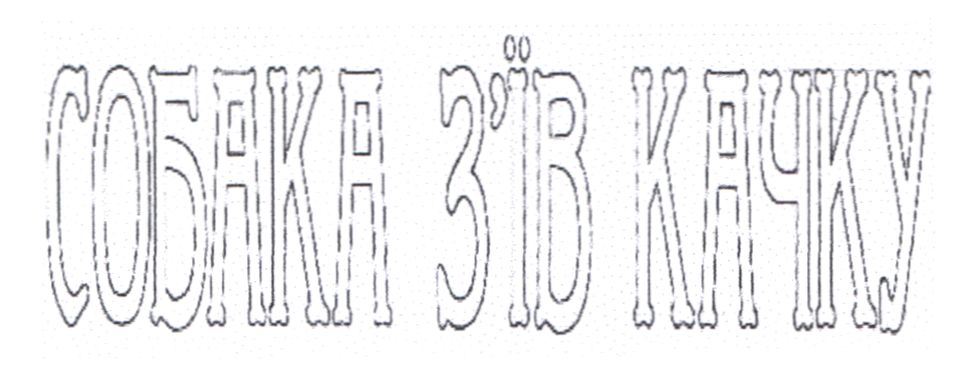 собака з`їв качку