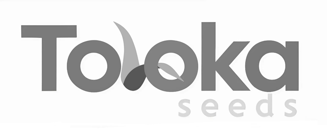 toloka seeds
