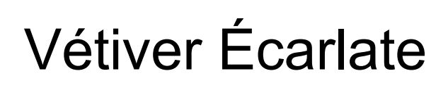 vetiver ecarlate