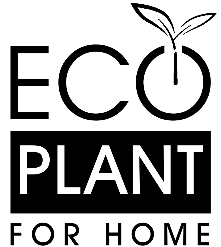 есо plant for home