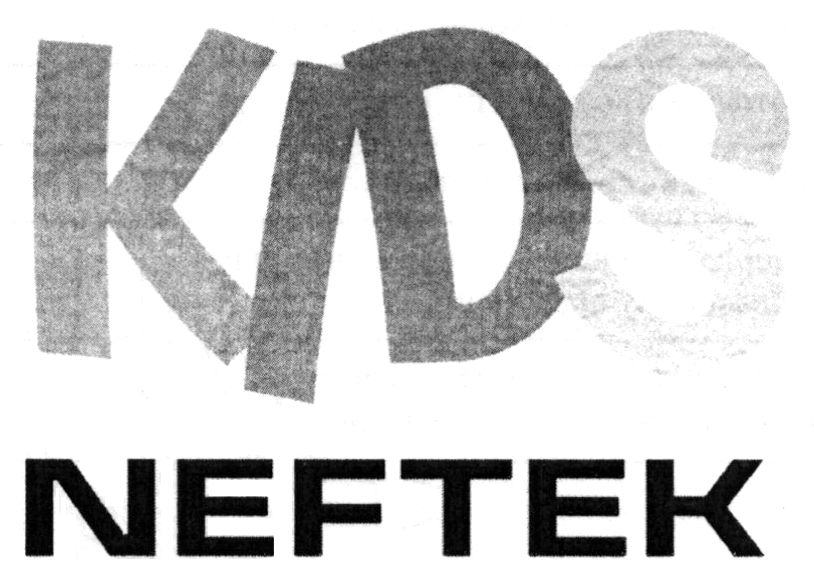 kids neftek