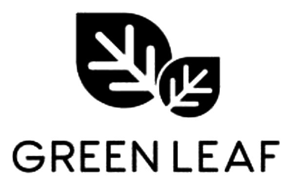 green leaf