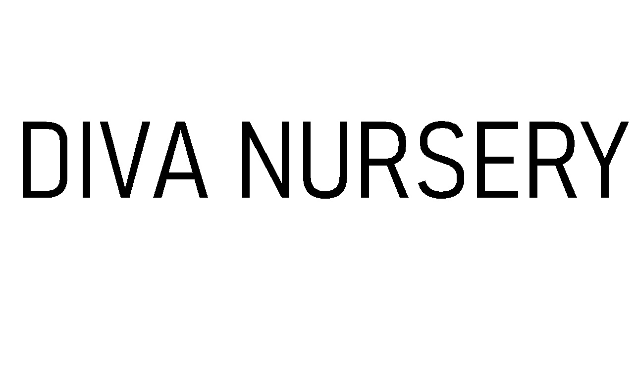 diva nursery