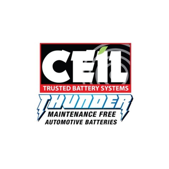 maintenance free automotive batteries