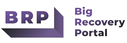 big recovery portal