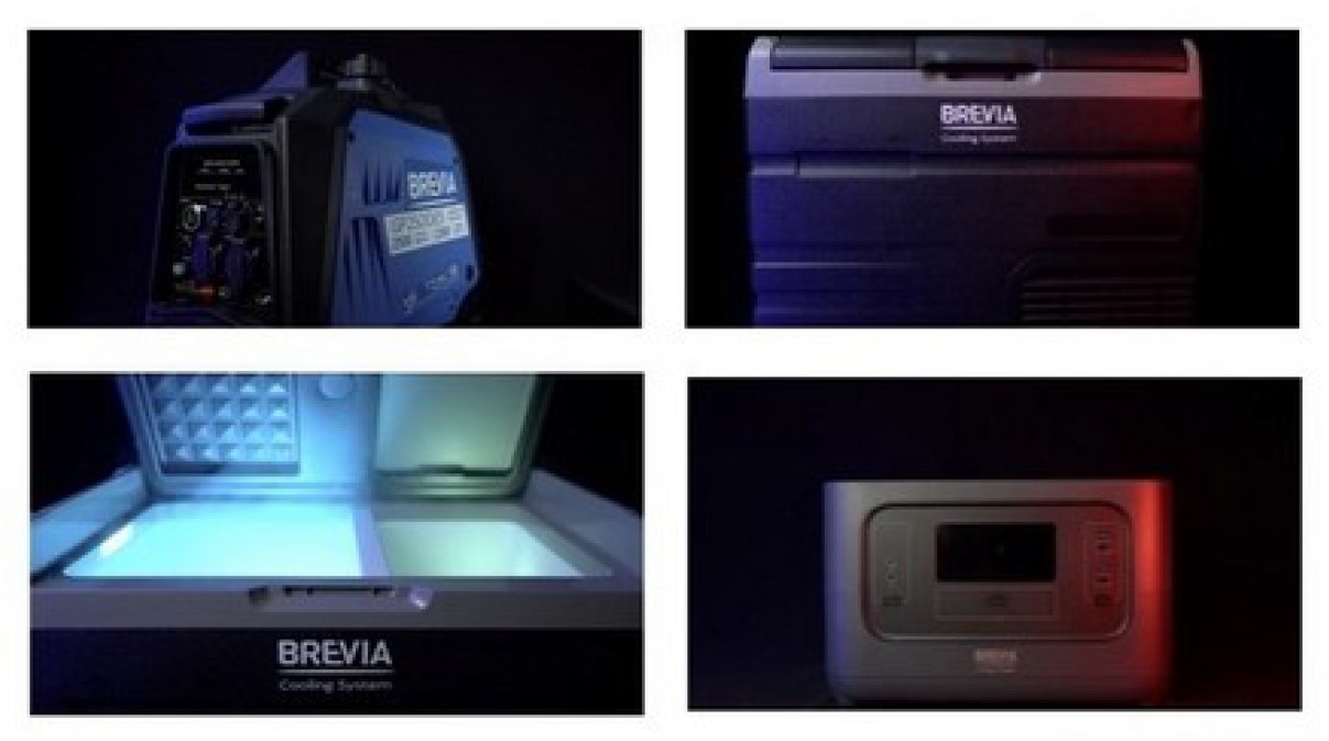 brevia