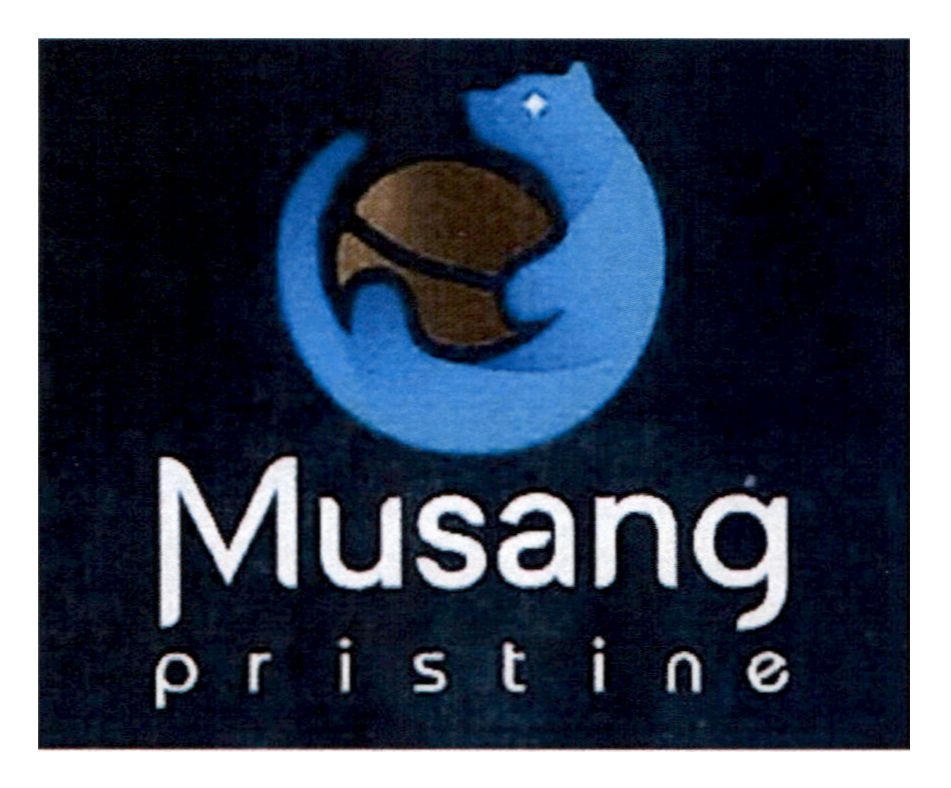 musang pristine
