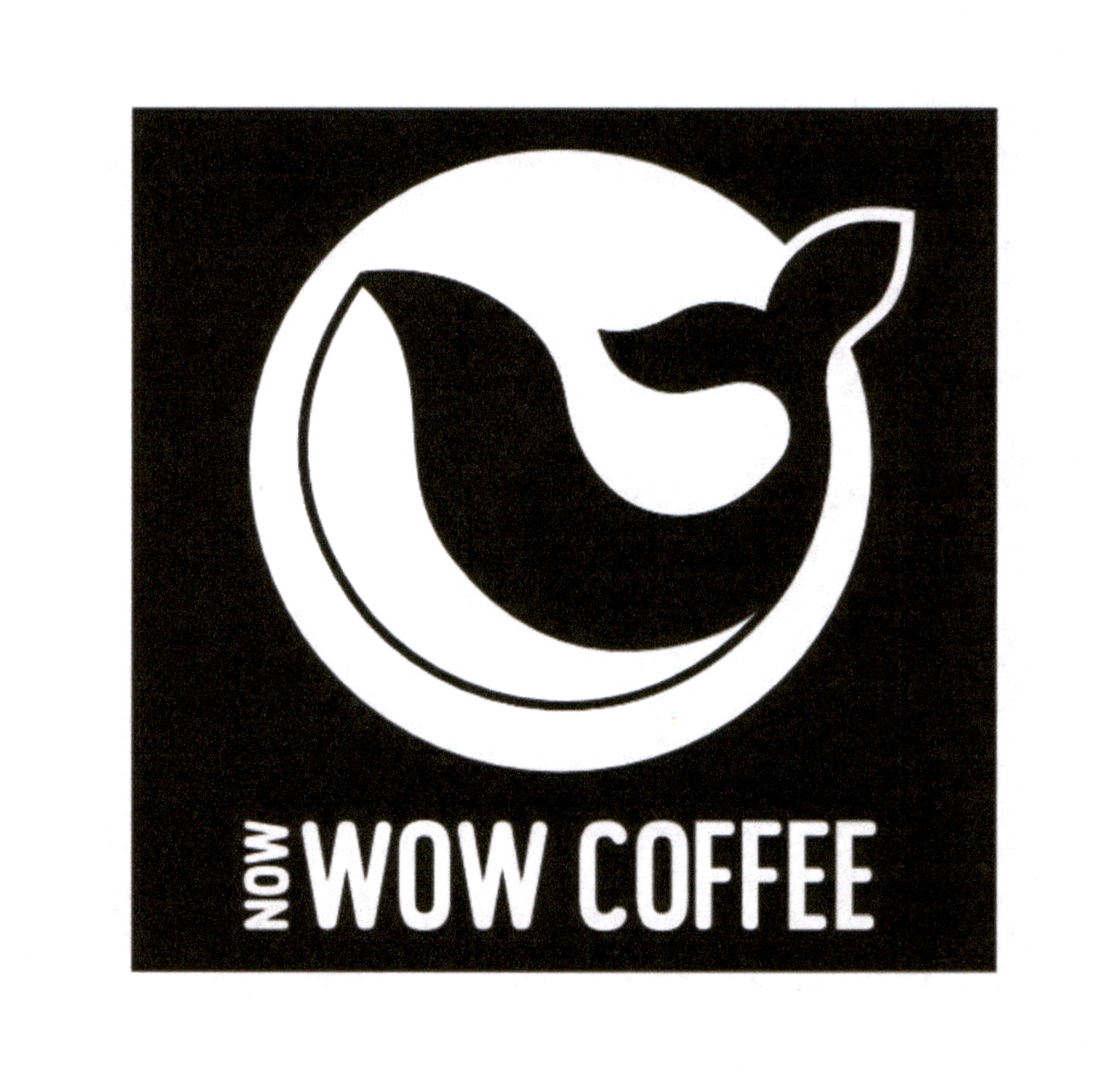 now wow coffee