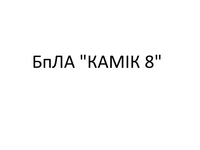 бпла камік 8