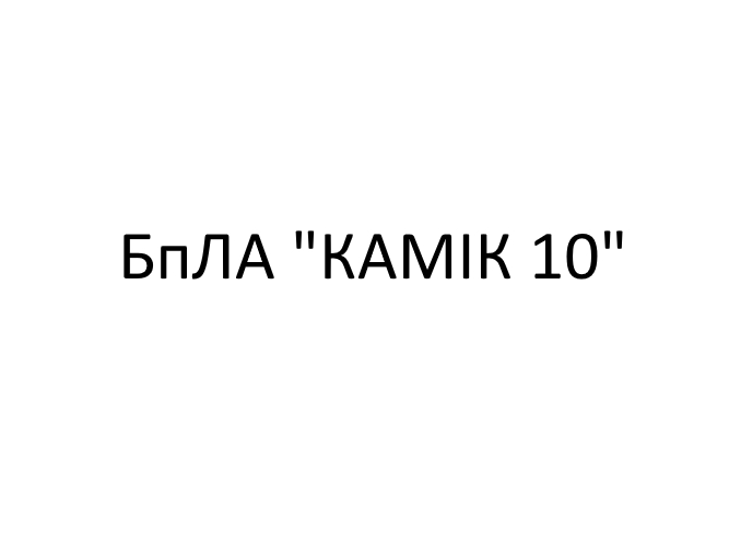 бпла камік 10