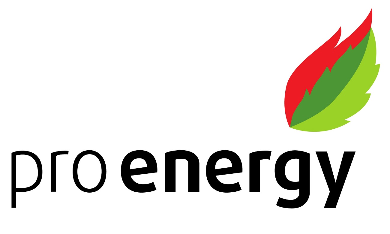 pro energy
