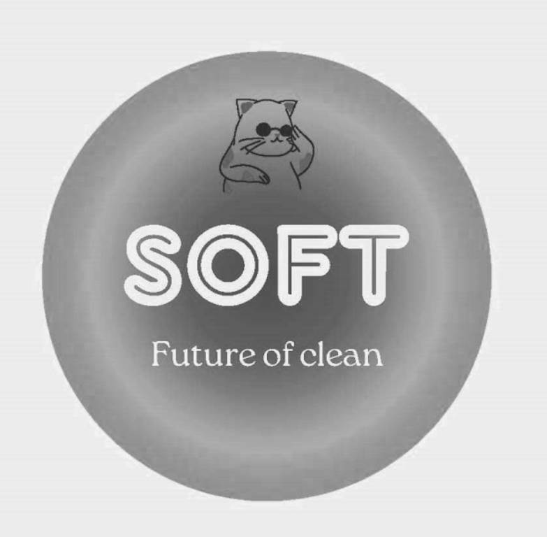future of clean