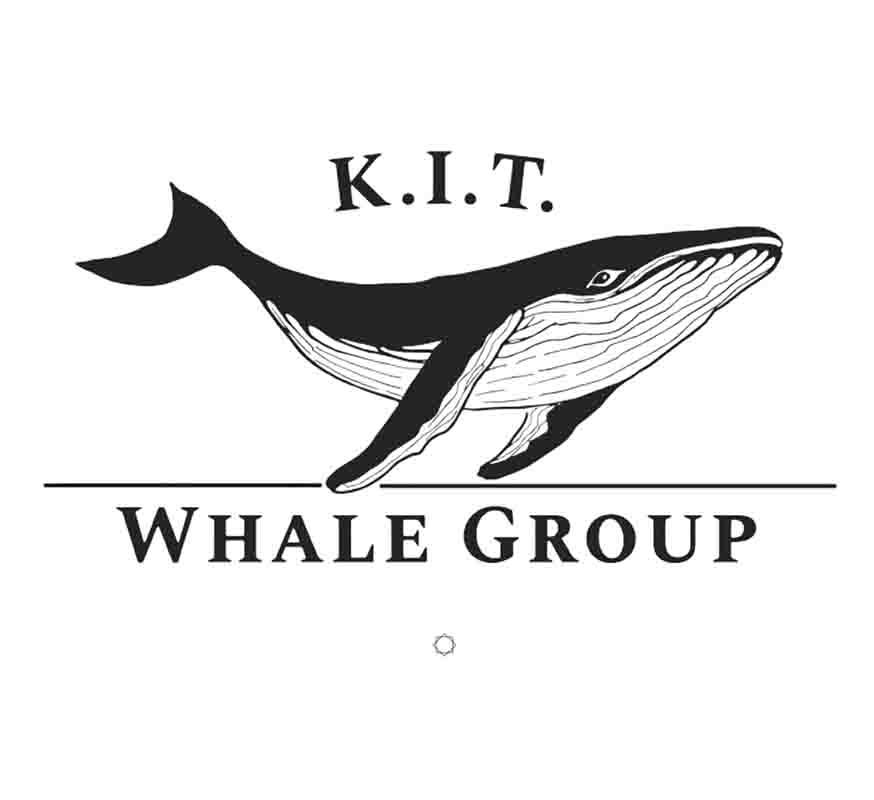 whale group