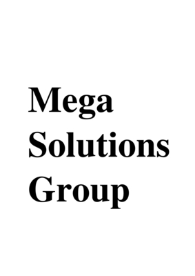 mega solutions group